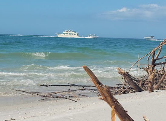 florida/tampa-bay-area/landmark/shell-key-shuttle
