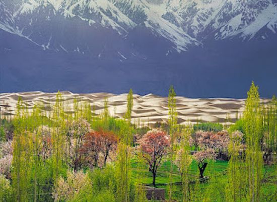 pakistan/hindko-region/landmark/lahore-guided-tours