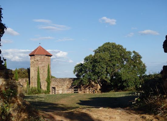germany/palatinate/landmark/palatinascout-touren-und-coachings-im-pfalzerwald