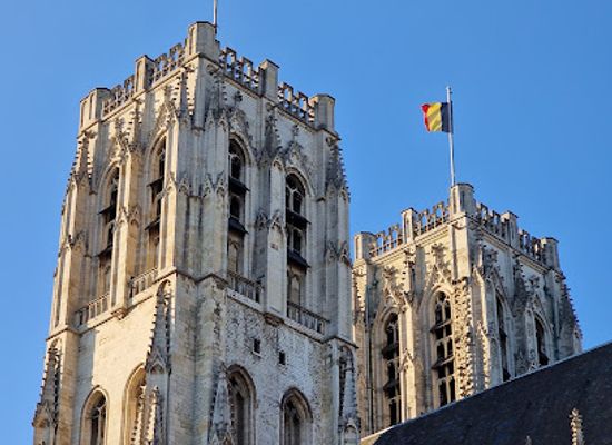 belgium/brussels/brussels-city-center/landmark/st-michael-and-st-gudula-cathedral-brussels
