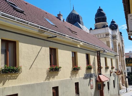 slovakia/nitra-region/landmark/synagogue