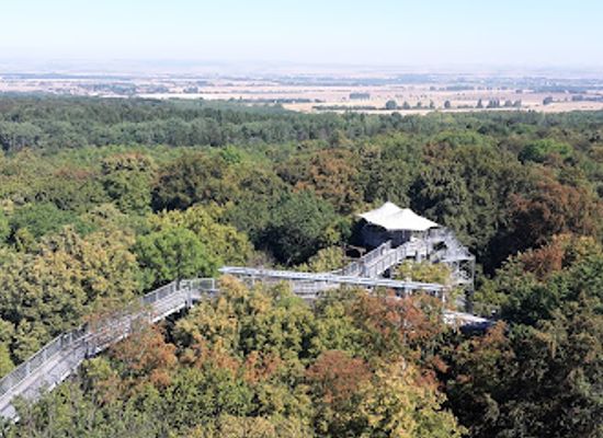 germany/thuringia/landmark/hainich-national-park