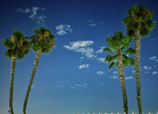 california/coronado/landmark/coronado-skatepark