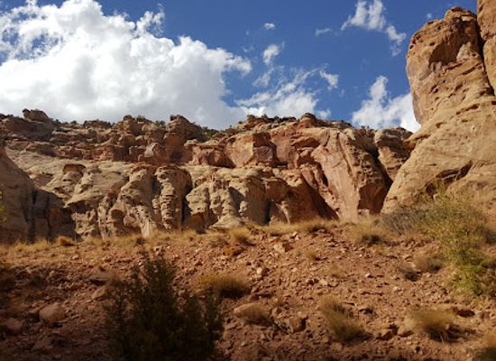 utah/capitol-reef-national-park/landmark/pioneer-register