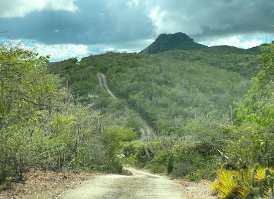 curacao/sabana-westpunt/landmark/christoffel-national-park