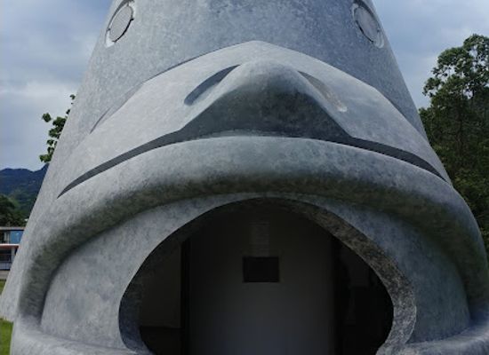 puerto-rico/big-island/landmark/museo-el-cemi