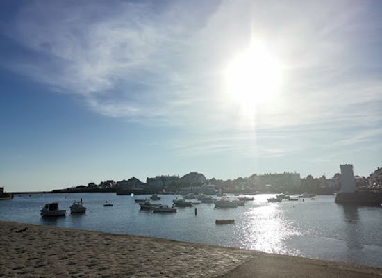 france/vendée-coast/landmark/vie