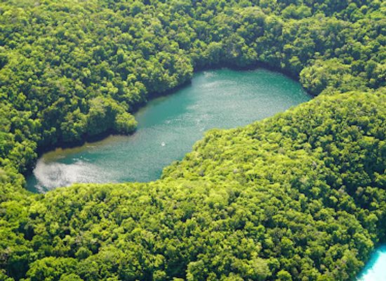 palau/melekeok/landmark/jellyfish-lake