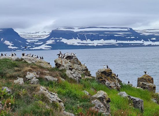 iceland/isafjordur/landmark/west-tours-isafjordur