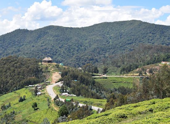 rwanda/nyungwe-forest-national-park/landmark/kitabi-eco-center