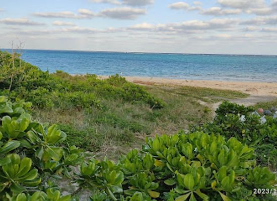 japan/ishigaki-island/landmark/hirakubo-hantou-ecoroad