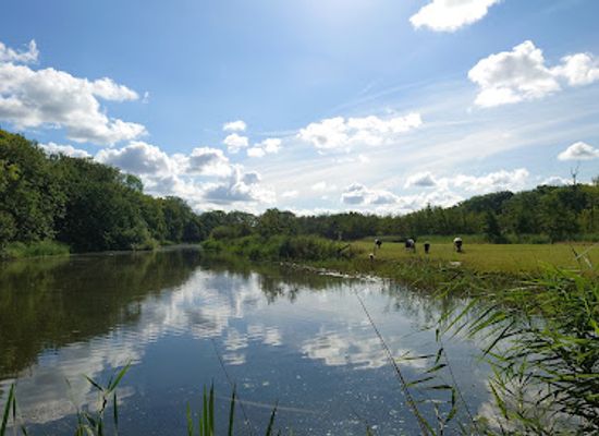 netherlands/gooi/landmark/estate-oostbroek