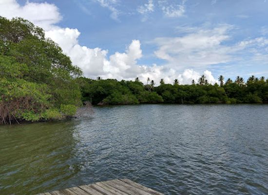 trinidad-and-tobago/buccoo-reef/landmark/tobago-plantations