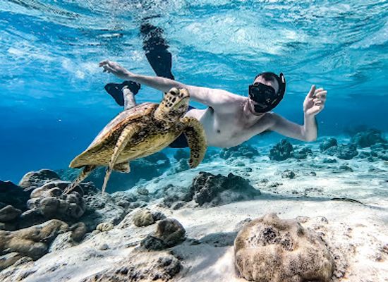 cook-islands/atiu/landmark/ocean-toa-cook-islands