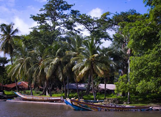 senegal/casamance/landmark/casamance-au-present