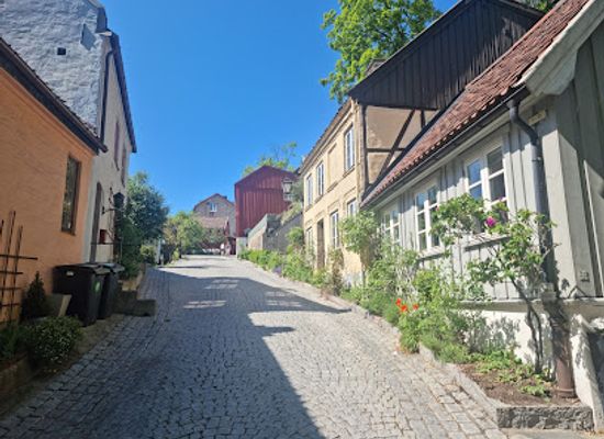 norway/ostlandet/landmark/damstredet-and-telthusbakken