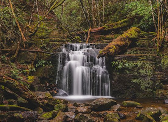 australia/mount-wellington/landmark/strickland-falls