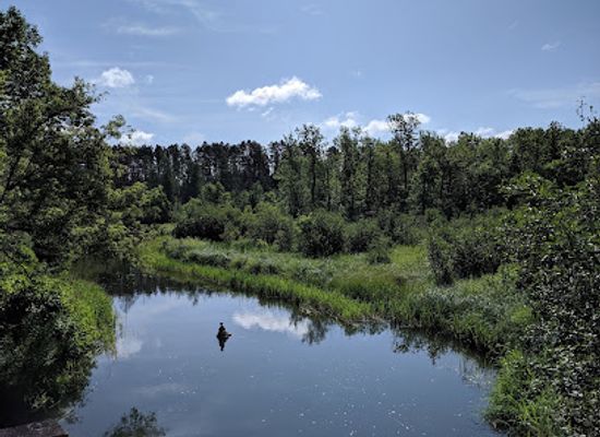 minnesota/mississippi-river-headwaters/landmark/mississippi-headwaters-state-forest