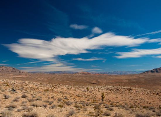nevada/mesquite/landmark/friends-of-gold-butte