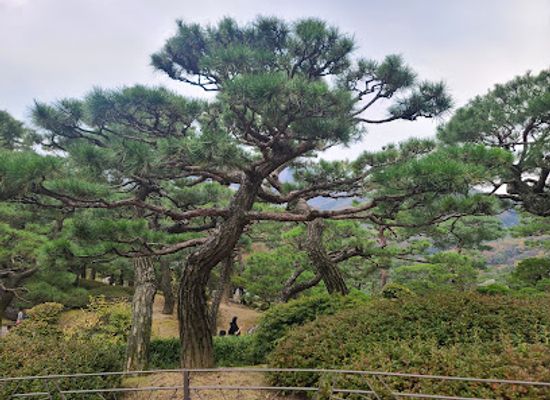 south-korea/honam-region/landmark/hwadam-botanical-garden