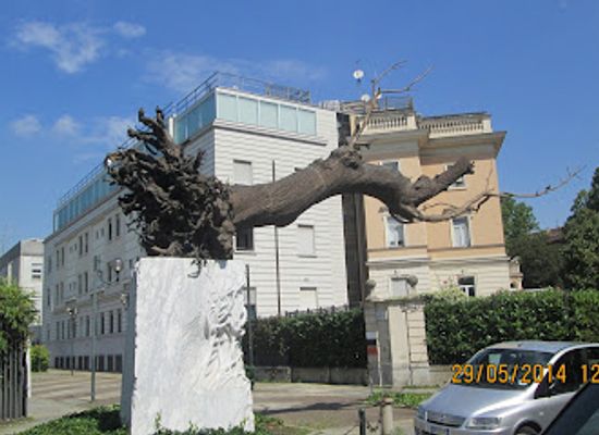italy/turin/crocetta/landmark/old-tree
