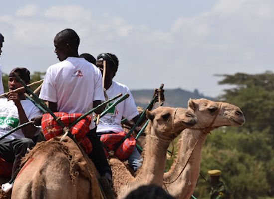 kenya/samburu-region/landmark/maralal-international-camel-derby-yare