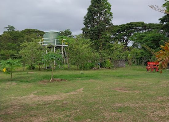 papua-new-guinea/port-moresby/landmark/dragonfly-agro-ltd