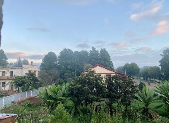 madagascar/vakinankaratra/landmark/flower-palace-hotel