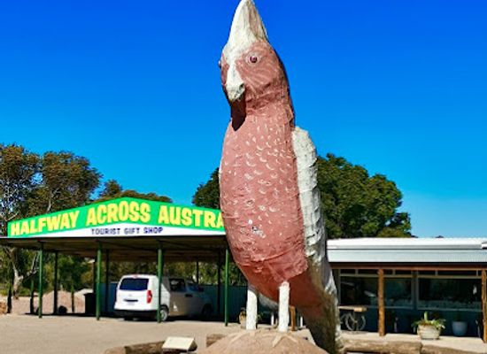 australia/south-west/landmark/the-big-galah