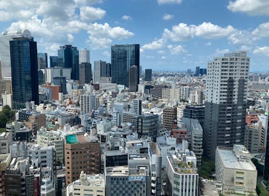 japan/sanuki/landmark/tokyu-kabukicho-tower