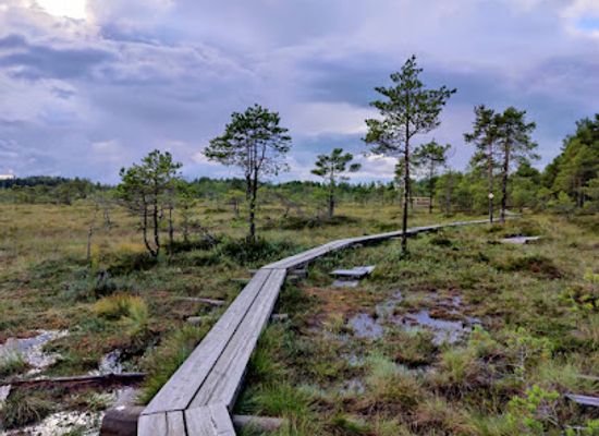 finland/kanta-hame/landmark/torronsuo-national-park