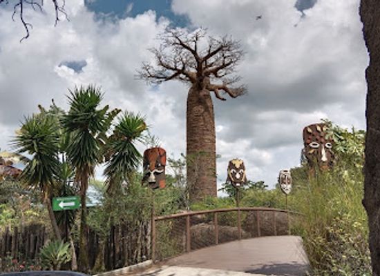 colombia/pereira/landmark/ukumari-park