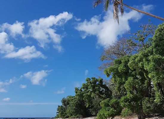 tonga/nuku-island/landmark/eua