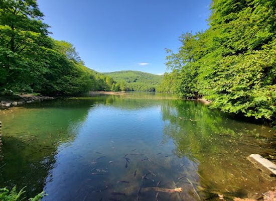 slovakia/zemplinska-sirava/landmark/vihorlat-protected-landscape-area