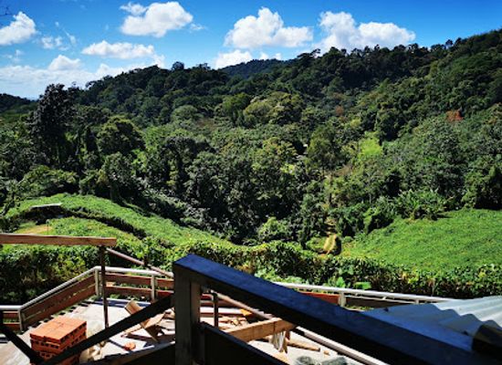 trinidad-and-tobago/aripo-caves/landmark/heights-of-aripo-hummingbird-sanctuary