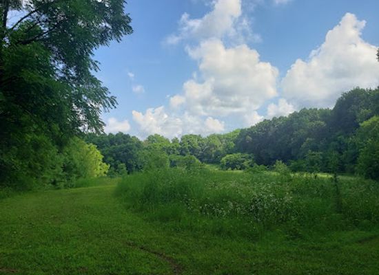 illinois/central-illinois/landmark/albany-mounds-state-historic-site