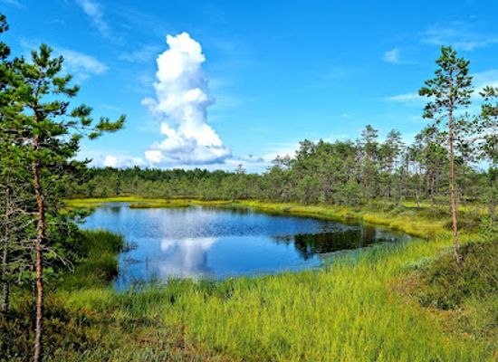 estonia/harju-county/landmark/lahemaa-national-park