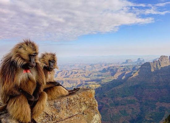ethiopia/tigray-region/landmark/simien-trekking-tours
