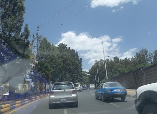 ethiopia/addis-ababa/landmark/national-palace-gate-3