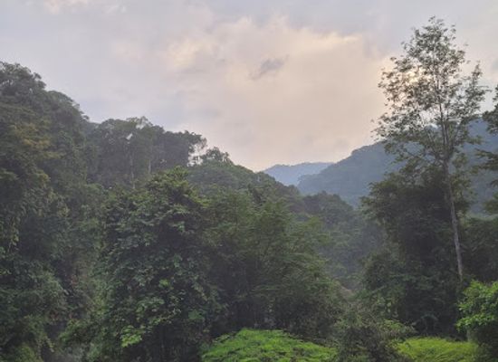 gabon/crystal-mountains-region/landmark/crystal-mountain-national-park