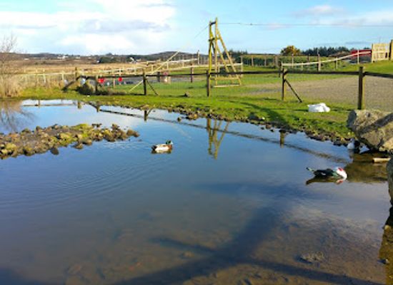 ireland/county-galway/landmark/loughwell-farm-park
