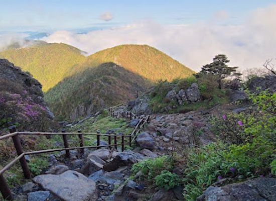 south-korea/south-gyeongsang-province/landmark/jirisan-national-park
