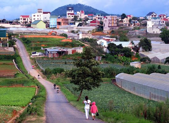 vietnam/dalat/landmark/dathien-valley-view