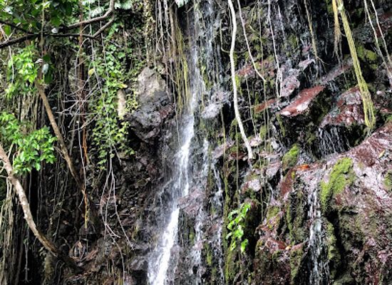 philippines/eastern-visayas/landmark/tomalistis-falls