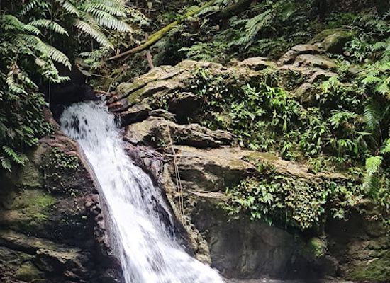 trinidad-and-tobago/edith-falls/landmark/rio-seco-waterfall