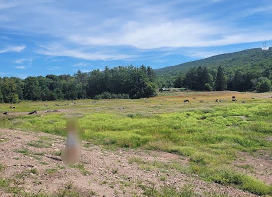 new-jersey/delaware-water-gap-national-recreation-area/landmark/watergate-recreation-area