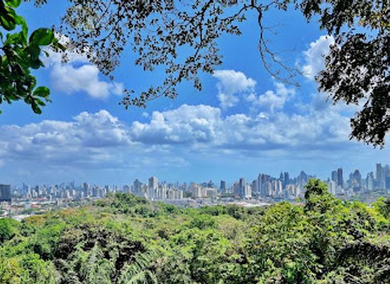 panama/san-blas-islands/landmark/metropolitan-natural-park