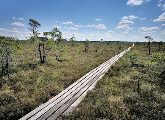 latvia/courland/landmark/dunika-bog