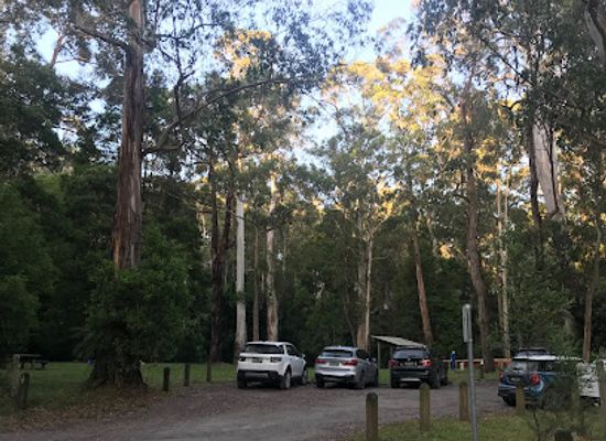 australia/great-ocean-road/landmark/sheoak-picnic-area