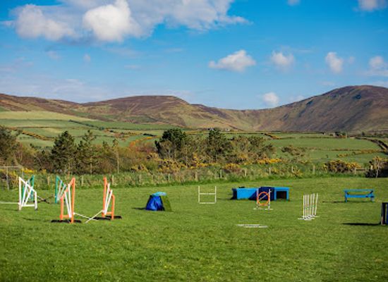 isle-of-man/kirk-michael/landmark/happy-hounds-dog-park